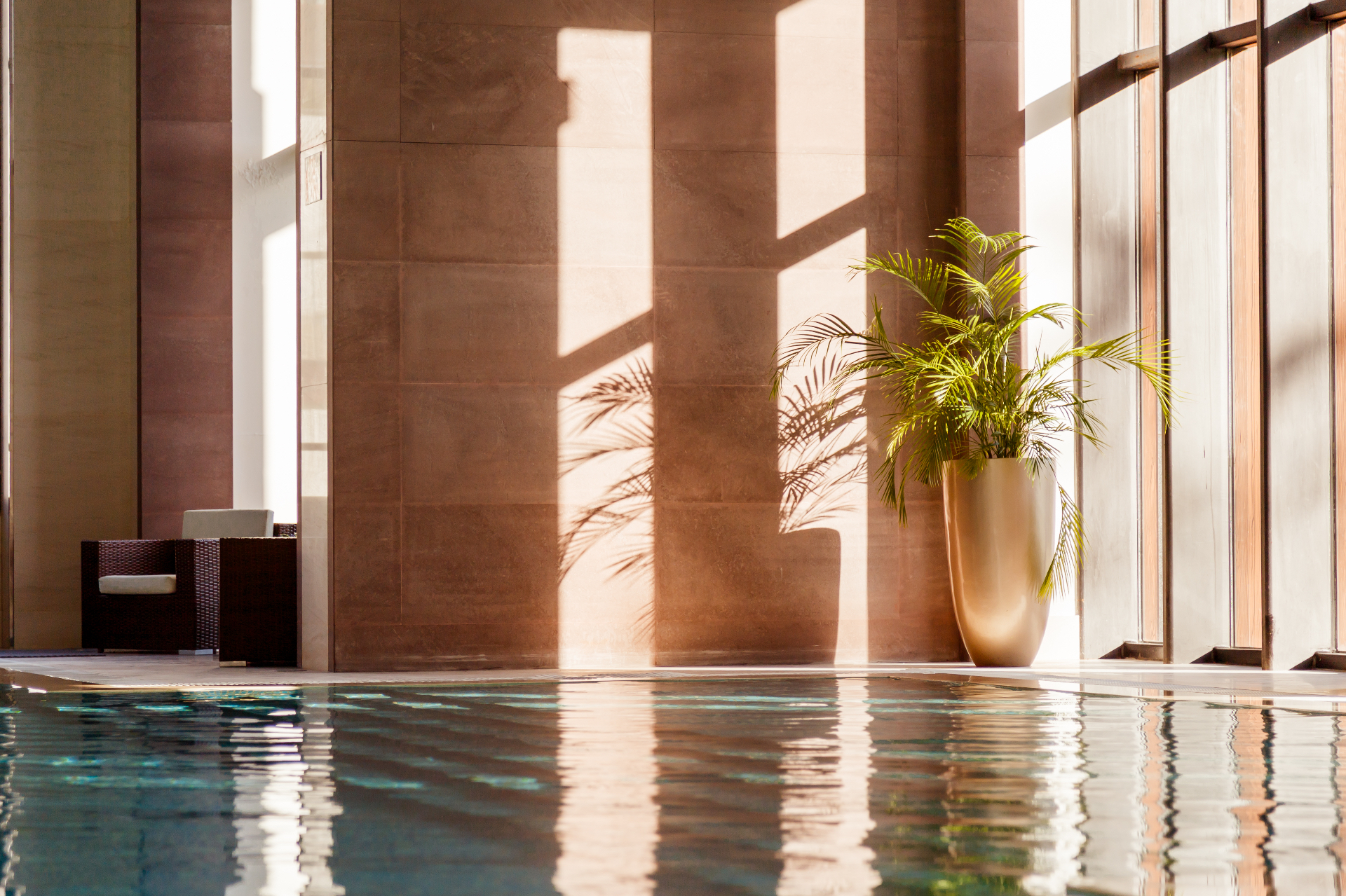 Sunlit indoor thermal pool with a palm and warm stone wall at a Bulgarian spa retreat